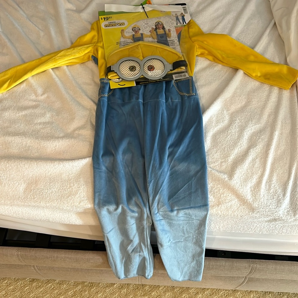 Minions costume